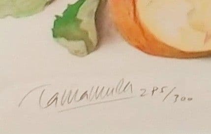 ◎仕方ない値！玉村豊男 作品　リトグラフ