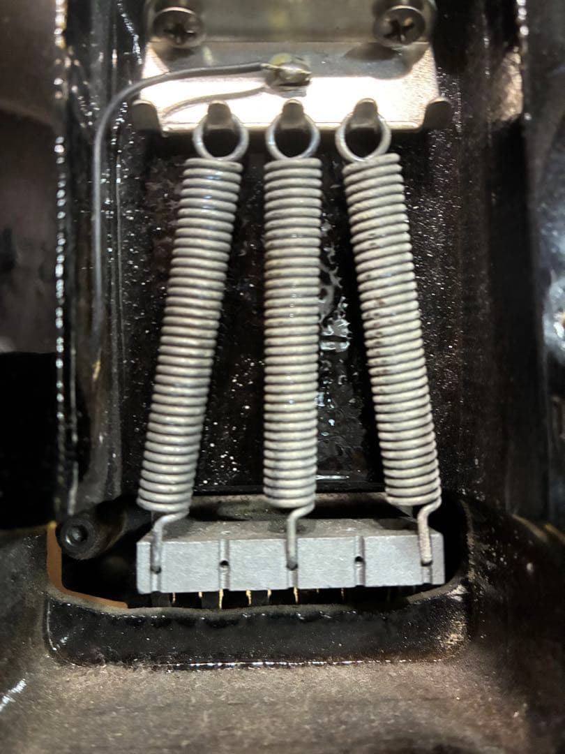 GrassRoots グラスルーツ LUNA SEA SUGIZOモデル　ギター