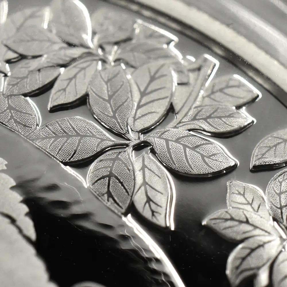 2024 (新品未使用) 中国 パンダ銀貨 30g10元 (カプセル入) 152 - メルカリ