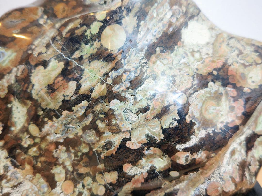 梅花石 22.8kg 紋石 牡丹石 菊花石 花紋石 原石 鑑賞石 自然石 水石