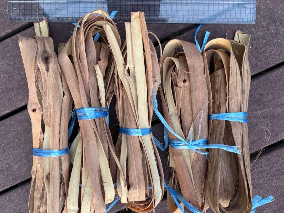 岩手県産山葡萄　樹皮　S級　①