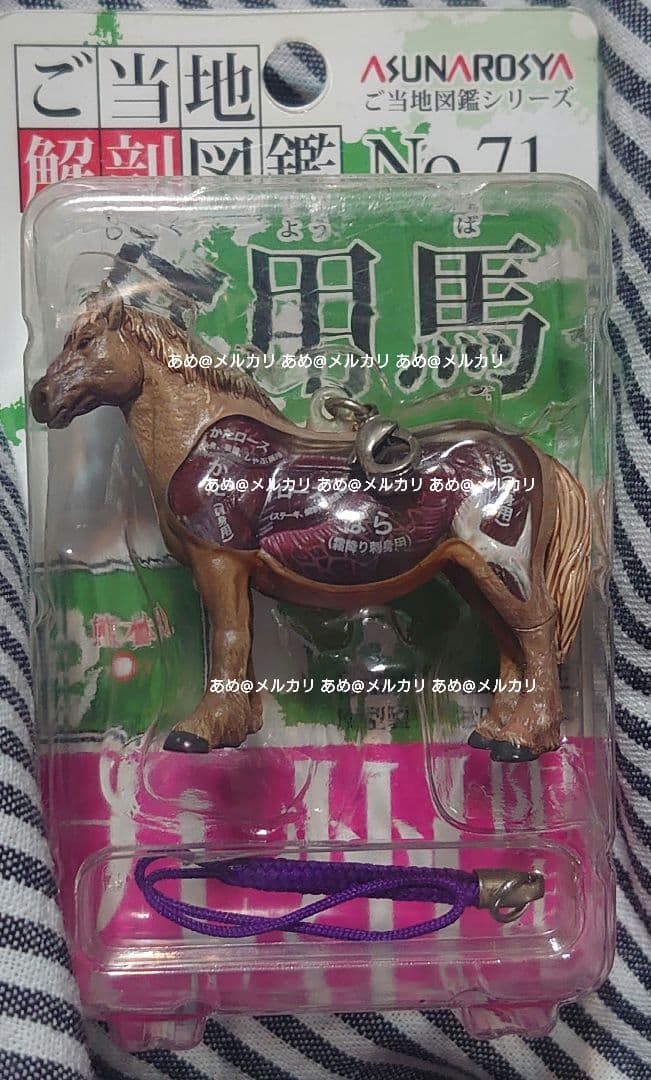 奇譚クラブ あすなろ舎 ご当地解剖図鑑 食用馬 九州