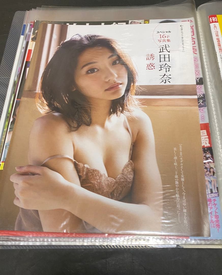 武田玲奈　切り抜き 約705p