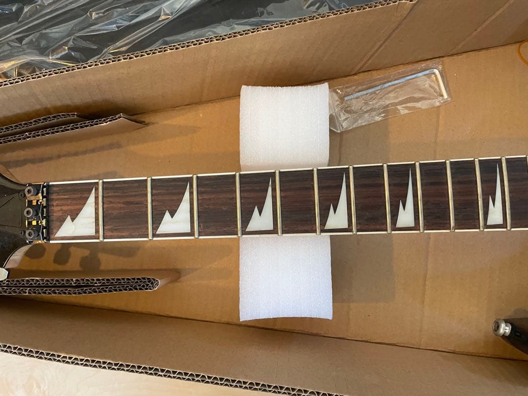 m*3様 Ibanez エレキギター 【ケース付き】　RG450DX