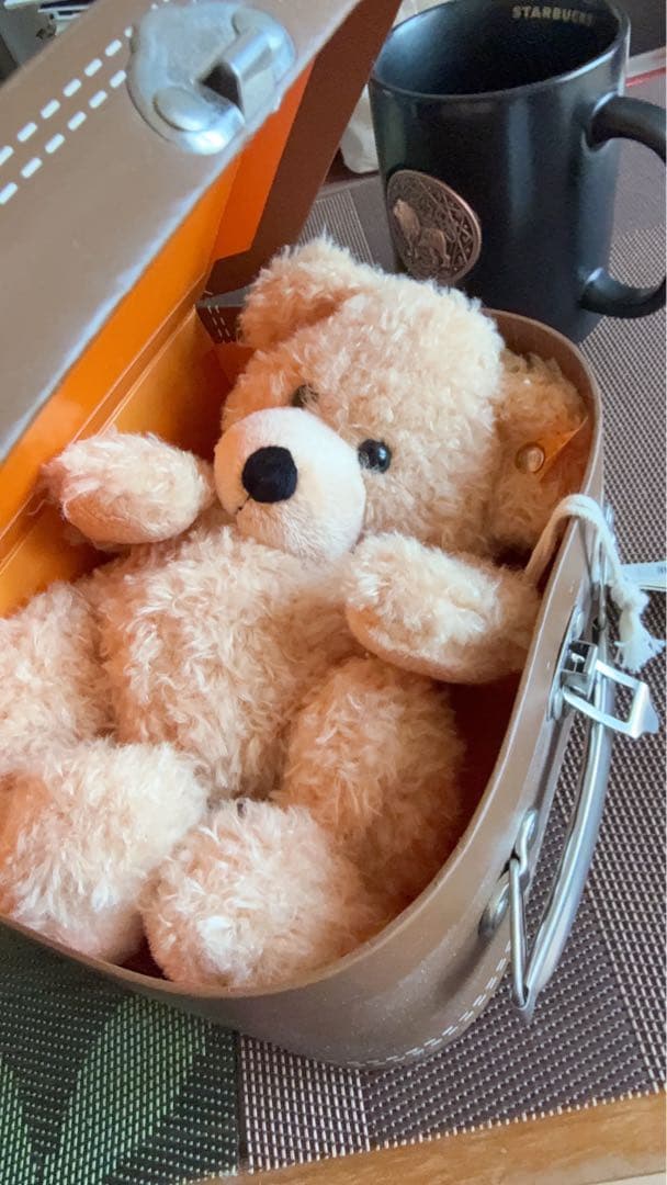 ドイツで購入⭐️Steiff Fynn teddybarぬいぐるみ ベージュ