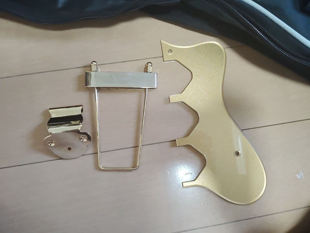 エピフォン リベエラ P93 抜け殻