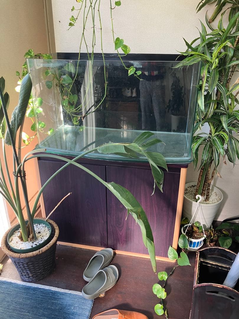 かずさん専用 AQUA SYSTEM ルノアール900