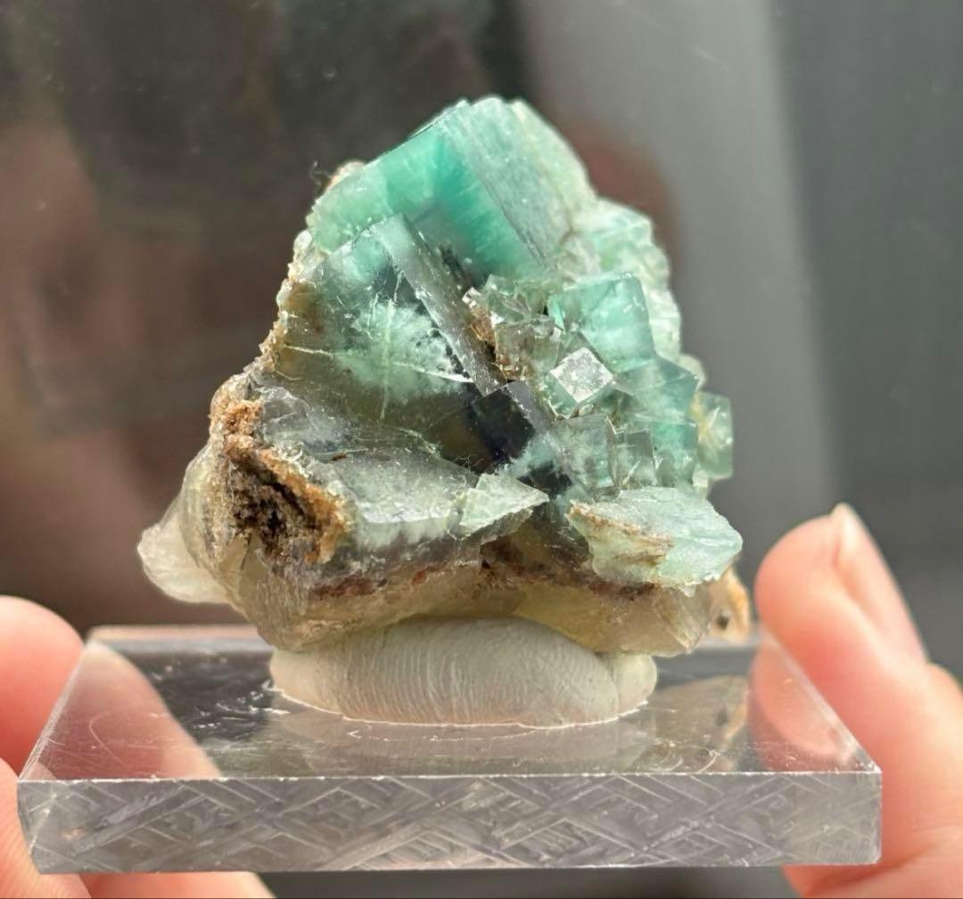 k*g様 レディアナベラ toxic apple pocket フローライト レ 美術品