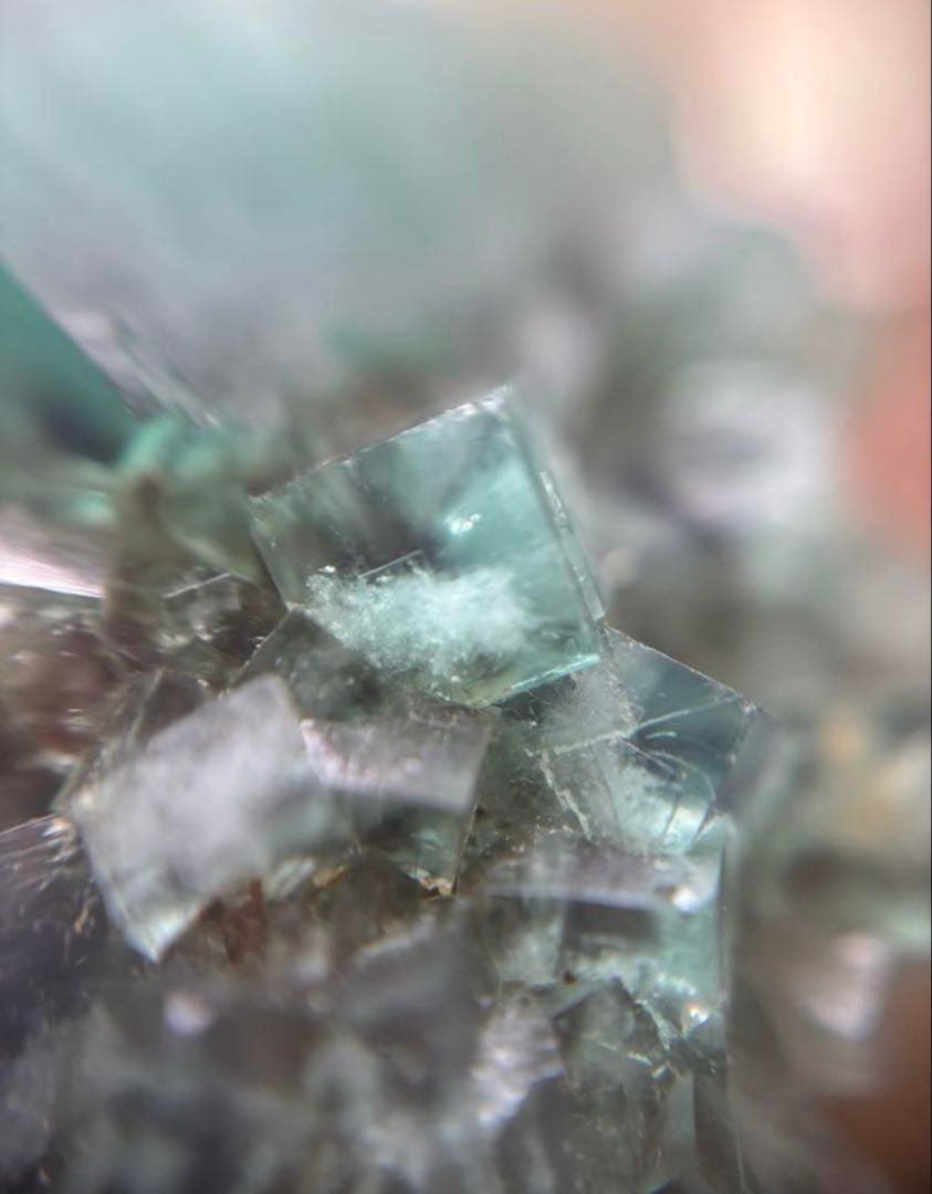 k*g様 レディアナベラ toxic apple pocket フローライト レ 美術品