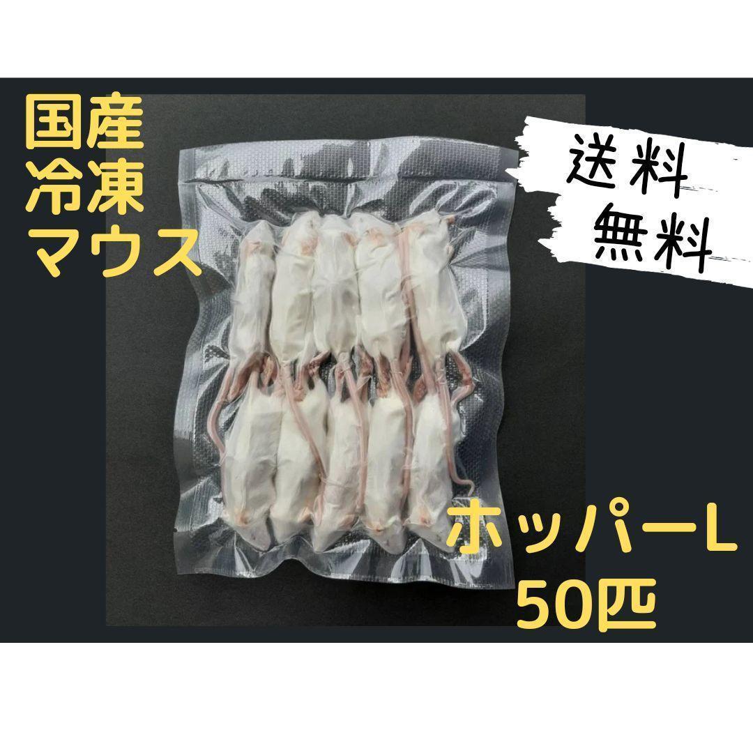 国産冷凍マウス ホッパーL50匹 (送料無料一部地域発送不可) - メルカリ