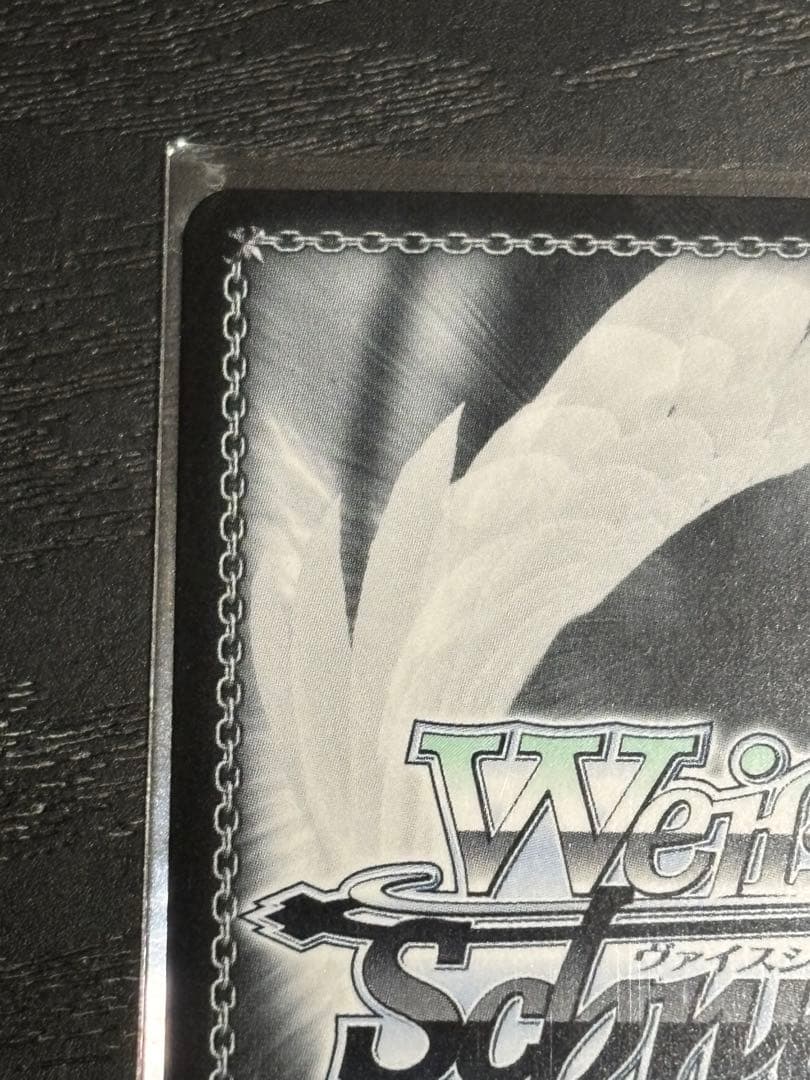 メアリーベイゴッデス　SP NIKKE