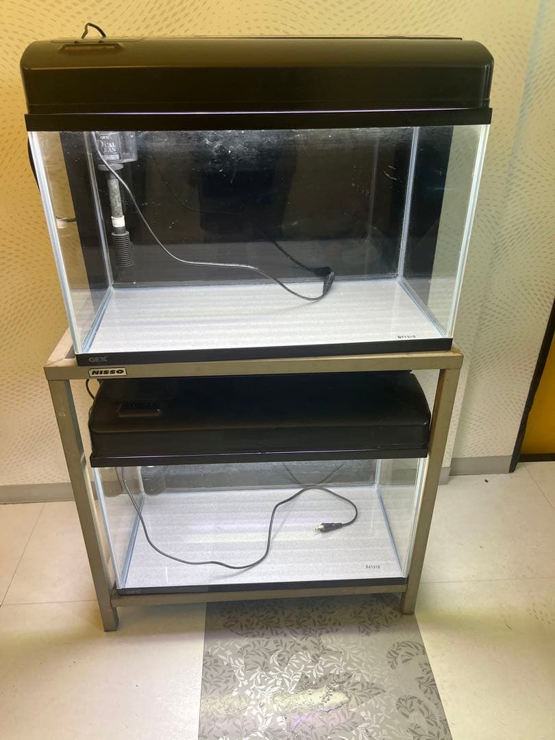 お得‼️⭐️60cm水槽2個水槽台付き⭐️ 水槽2個+水槽用品 お得‼️⭐️60cm水槽2個水槽台付き⭐️ 60cm水槽 台