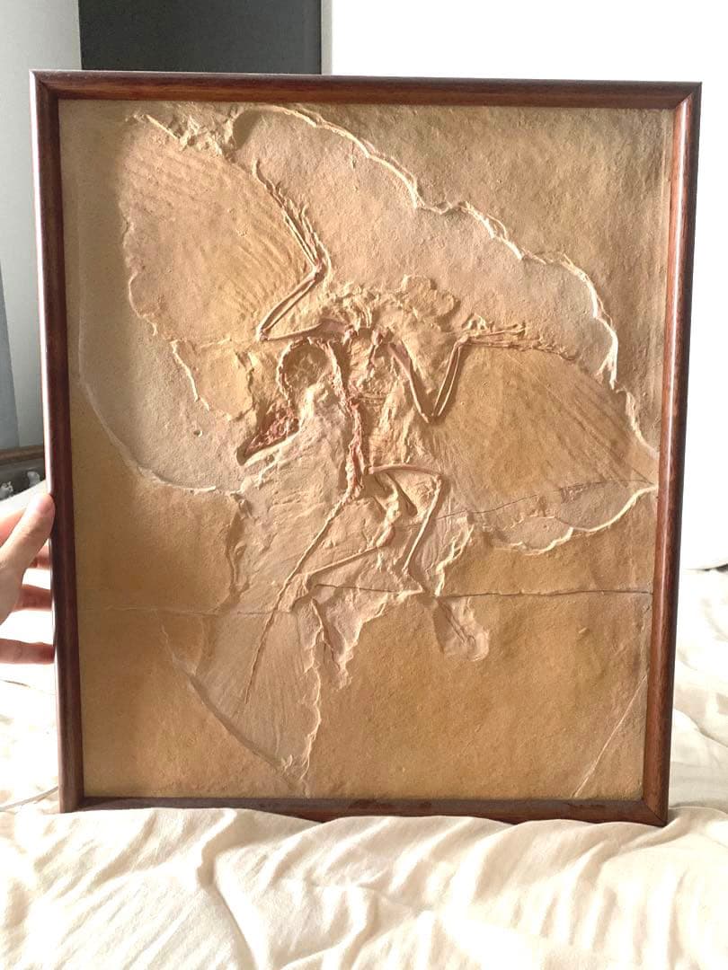 Deborah Turbeville /マリア像/ゼラチンシルバープリント