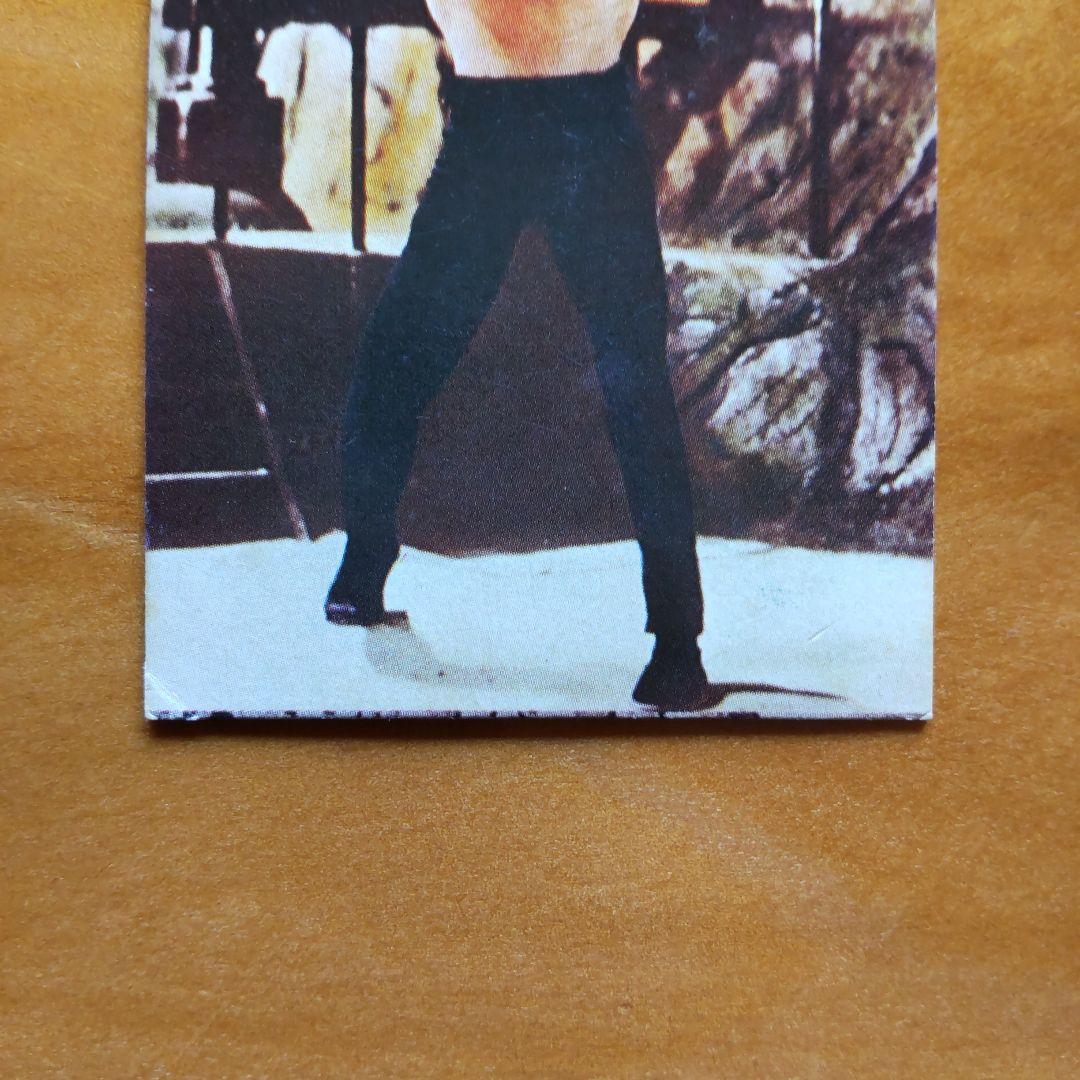 ブルース・リー ドラゴン ミニカード∕山勝∕ラッキーカード∕昭和レトロ∕希少