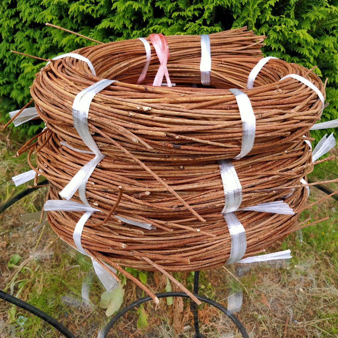 (注)青森県岩木山採取　あけび蔓　150cm～　3kg(依頼品)　2