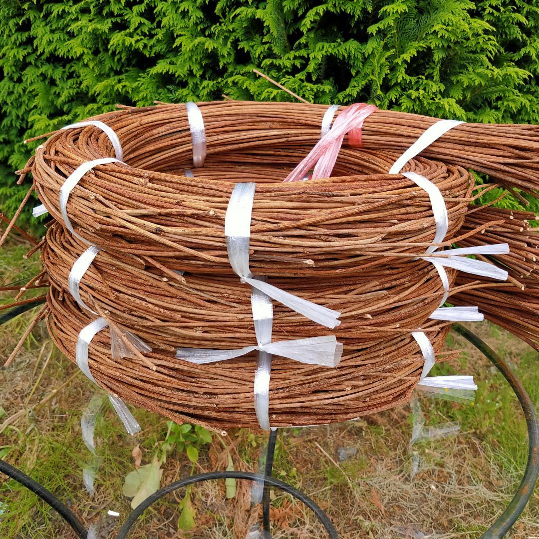 (注)青森県岩木山採取　あけび蔓　150cm～　3kg(依頼品)　2