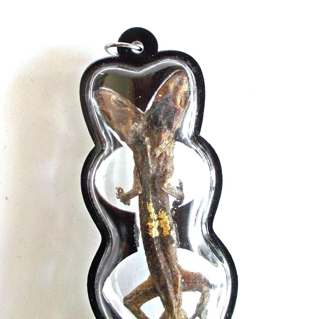 タイ お守り 2頭・9尾のトカゲ ヤモリ 現地購入 プラクルアン