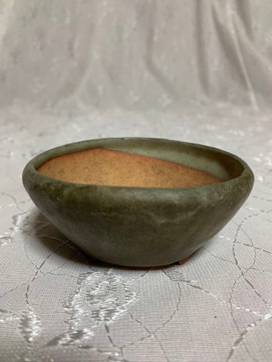 松寿 ミニ盆栽鉢