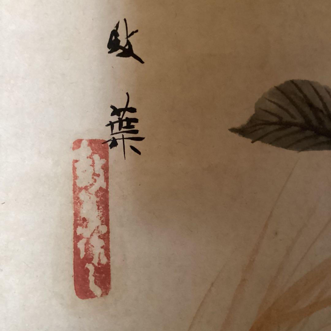 武田鼓葉筆 花鳥画 題目 【 花 蝶 図 】 紙本軸　紫陽花　落款照合