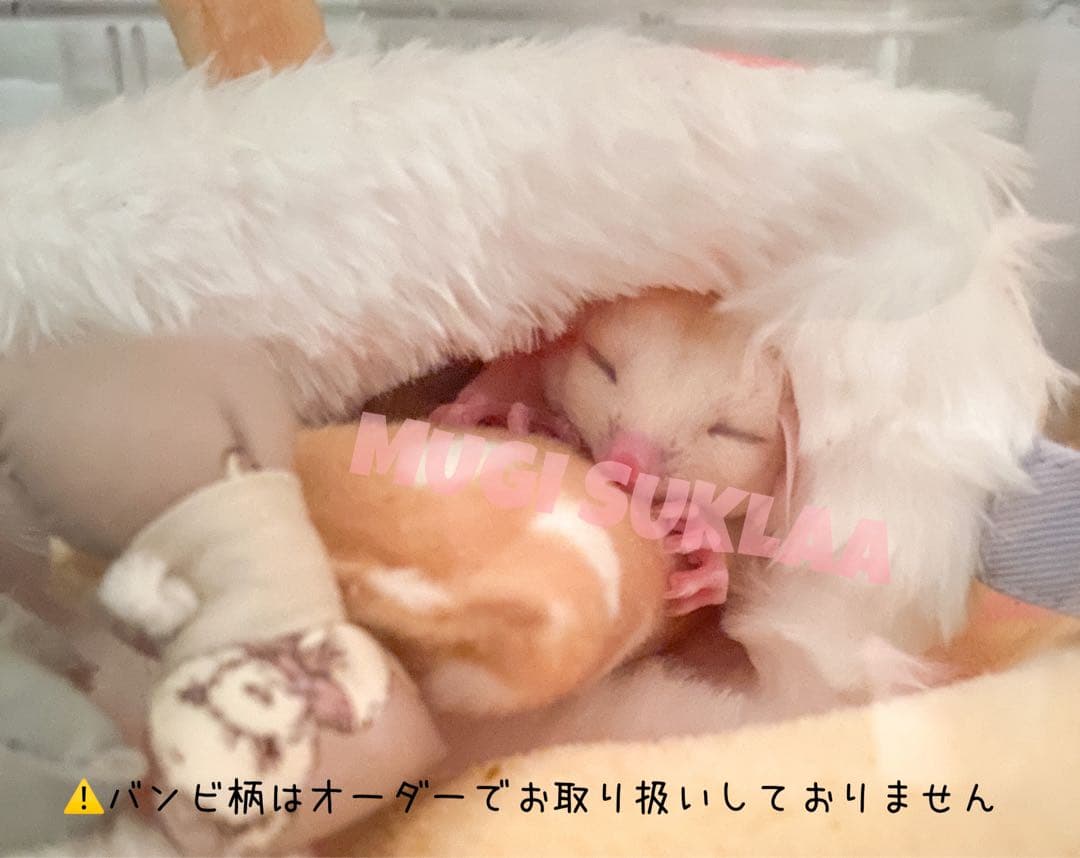 MUGI SUKLAA オリジナル】フクロモモンガ 抱き枕/ねこじゃらし