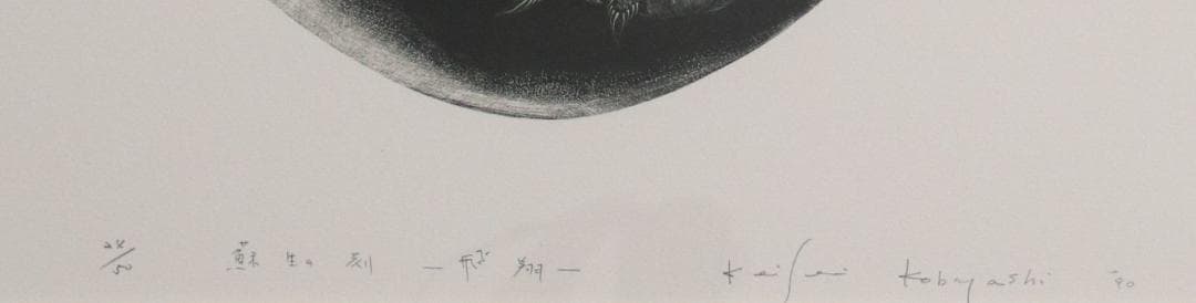 小林敬生　「蘇生の刻・飛翔」小口木版画　約６８×４６ｃｍ　《真作》　ｍｃ