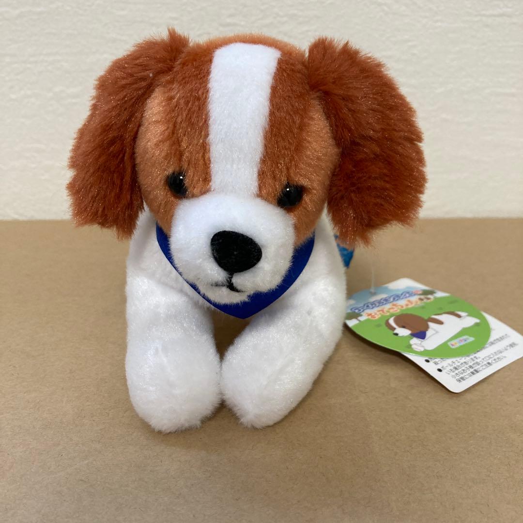 匿名発送】【訳あり】コーイケルホンディエ おでこちゃん 大谷翔平