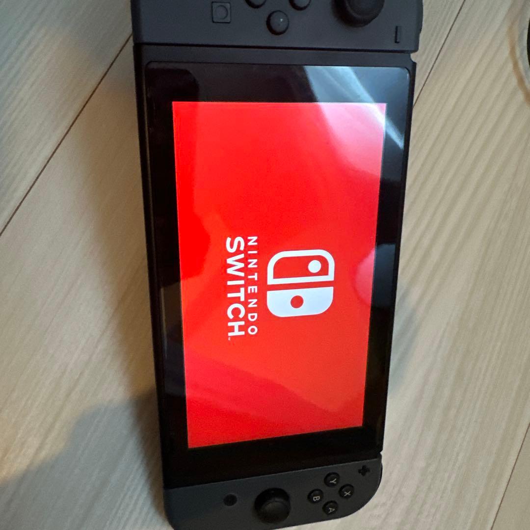 Nintendo Switch グレー本体　ケース付き