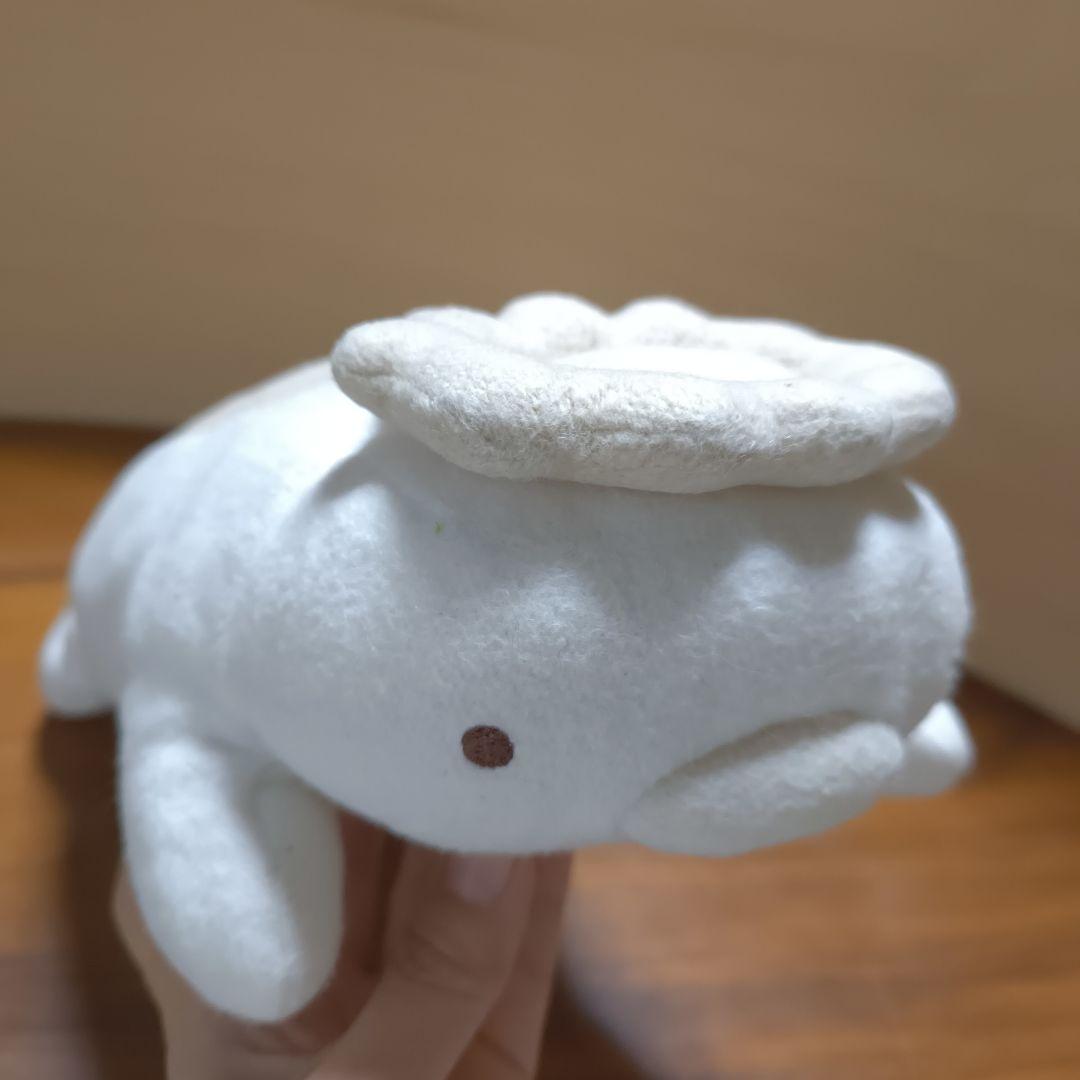 なちゅらるせらぴ　フリッカ　fricca　まつもと　松本　かっぱ　オーガニック