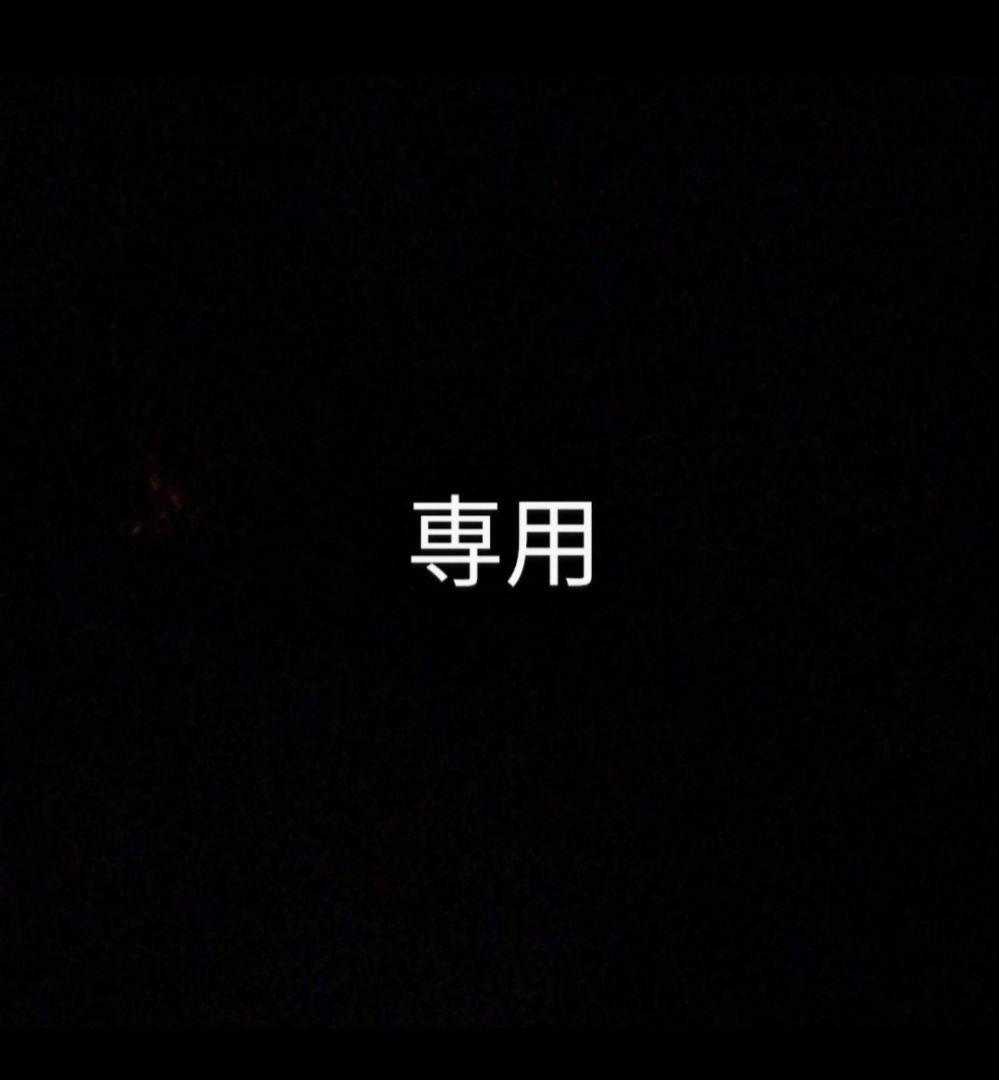 ୨୧プロフ必読୨୧ 24時間以内発送様 リクエスト 2点 まとめ商品