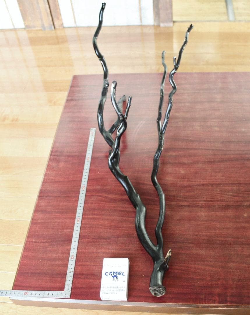 深海松 深海松 海松 計365g 31cm / 木石 ウミマツ サンゴ 黒珊瑚 天然