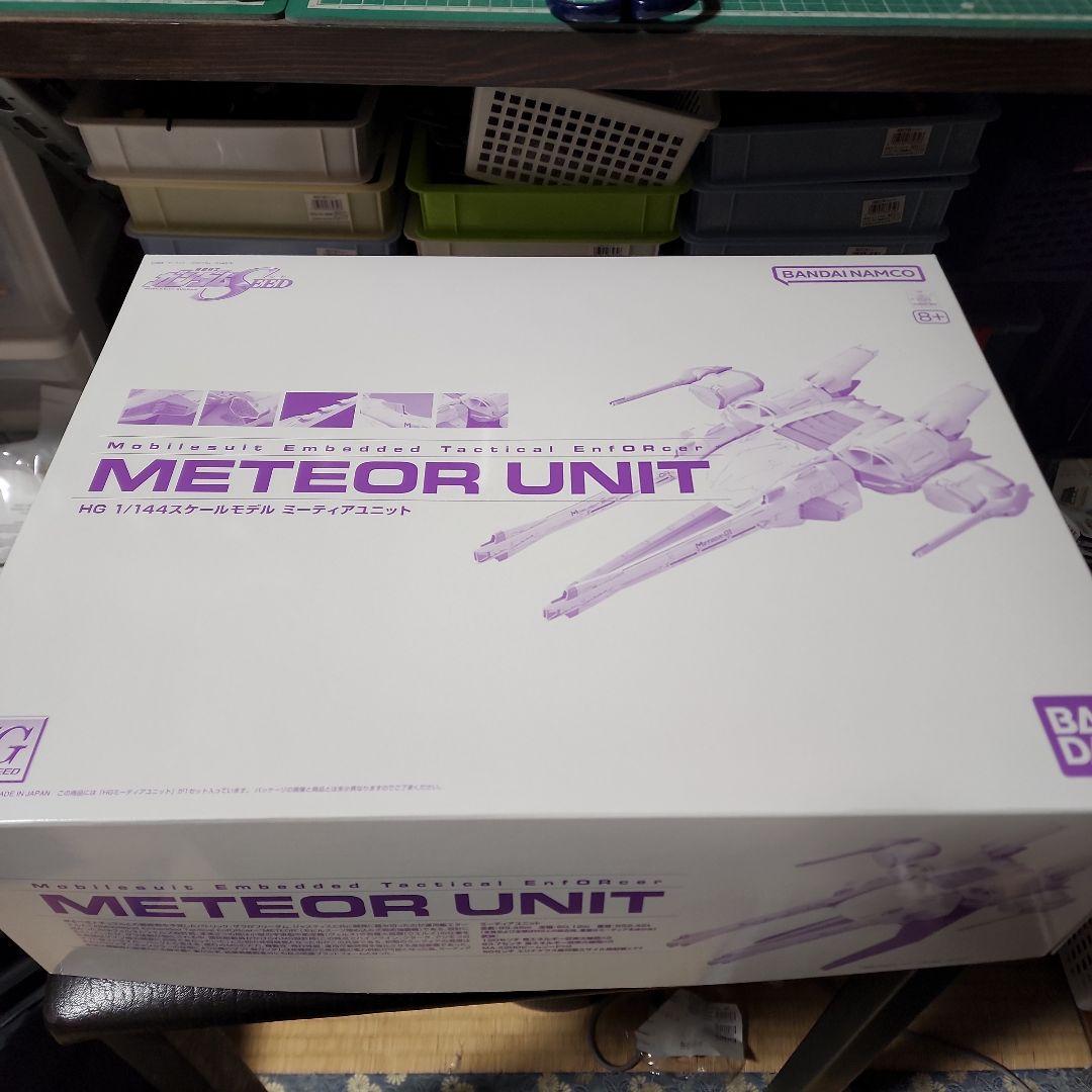 HG LIGHTNING BUSTER GUNDAM & METEOR UNIT