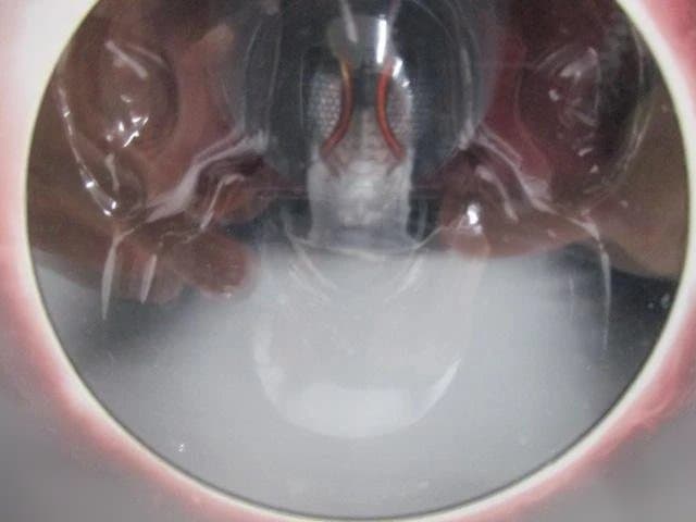 【未開封】S.H.Figuarts 仮面ライダーBLACK SUN