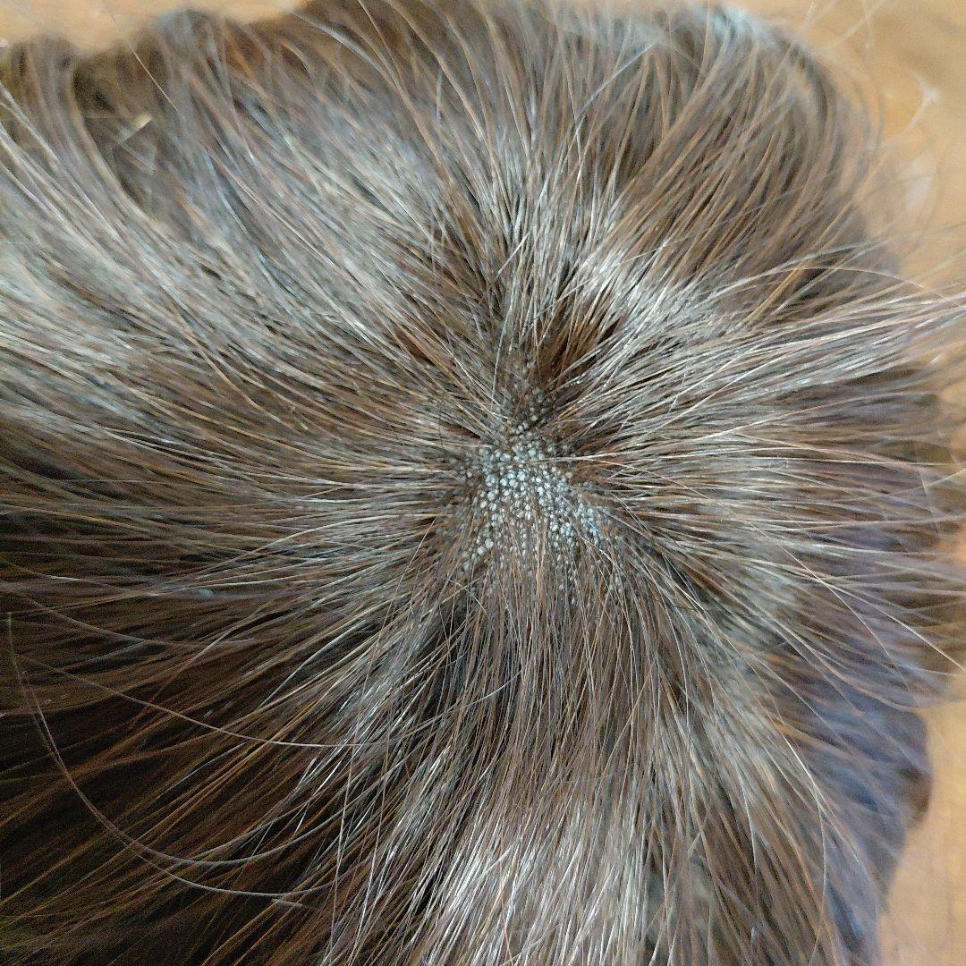 ジュリア・オージェ　アートネイチャー　フルウィッグ　ブラウン