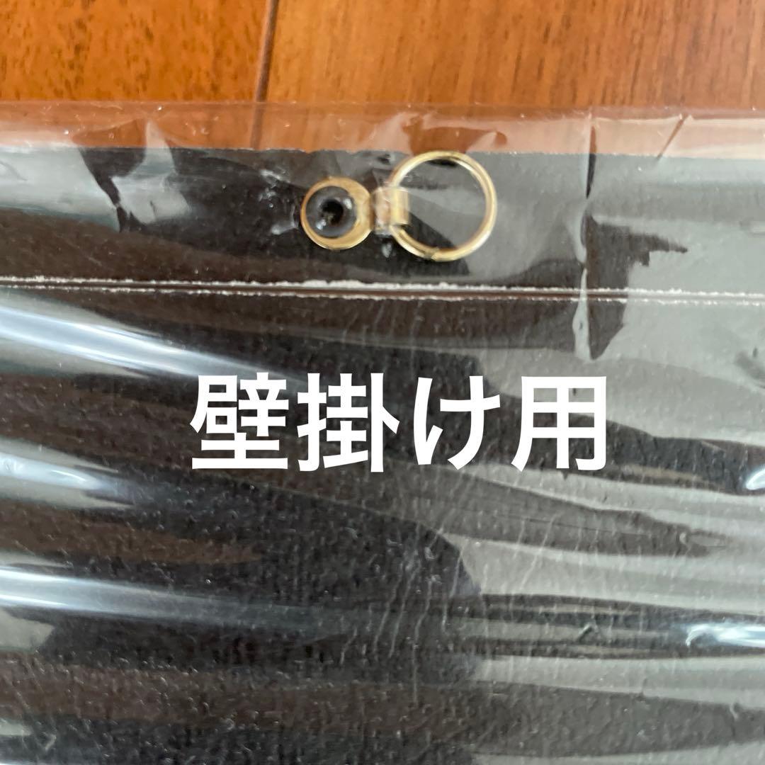 ディズニークルーズ 乗船記念額