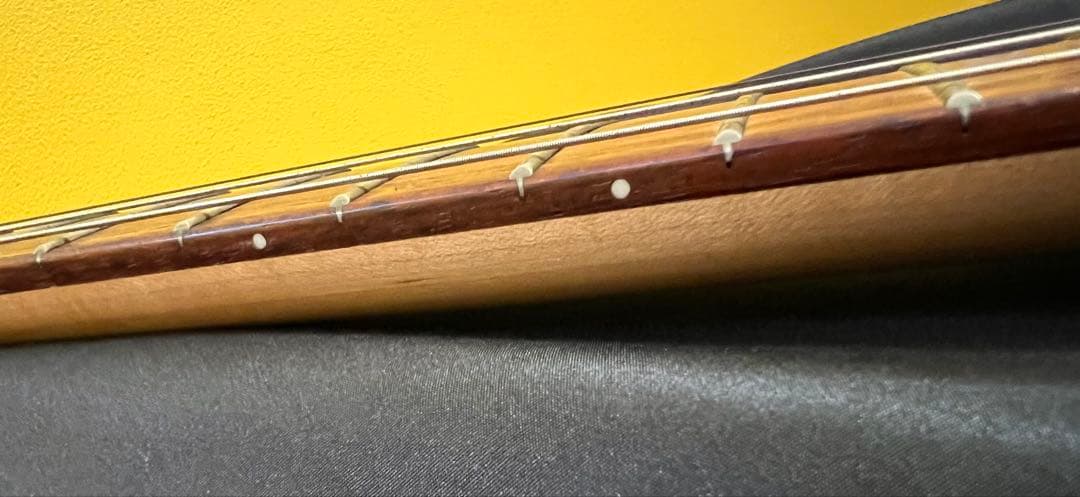 TARGET by FERNANDESモッキンバードMGT-48hide モデル