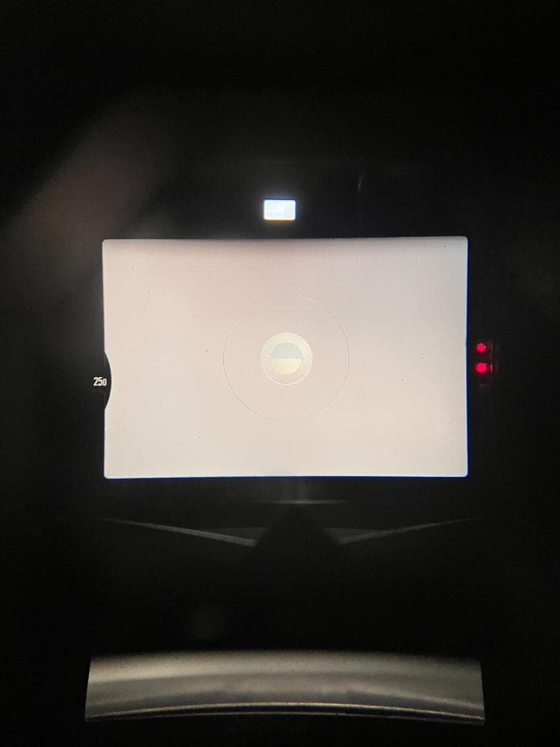 美品 NIKON New FM2 シルバーフィルムモルト新品交換済 M013