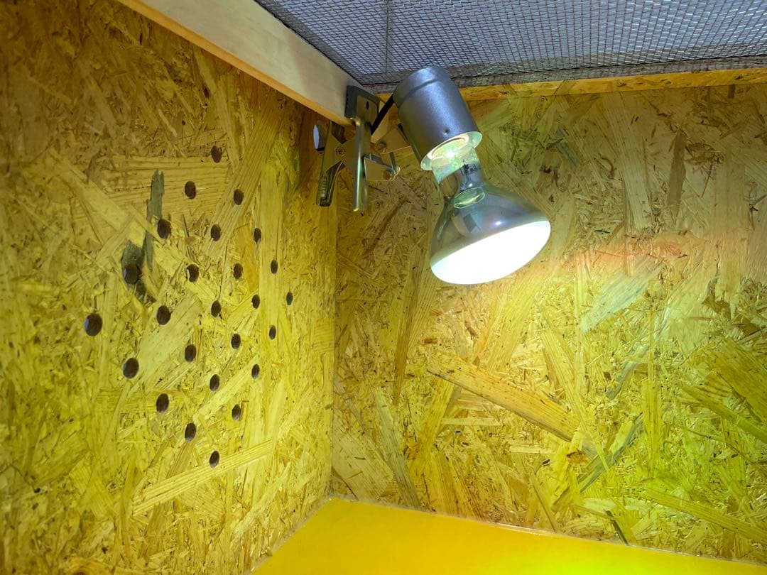 爬虫類ケージ 爬虫類飼育ゲージ 90×45×45サイズ 天井金網仕様 - メルカリ