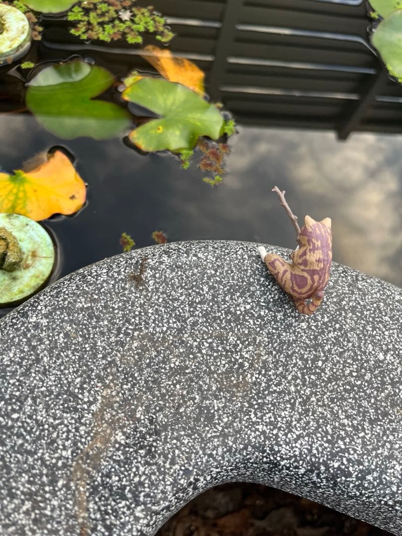 据置型 ひょうたん池 プラスチック池 - yellows.co.jp 日本