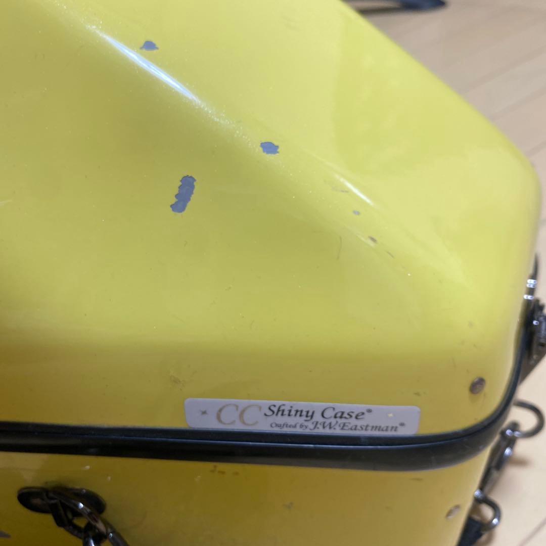 フレンチホルンケース イエロー　イーストマン社