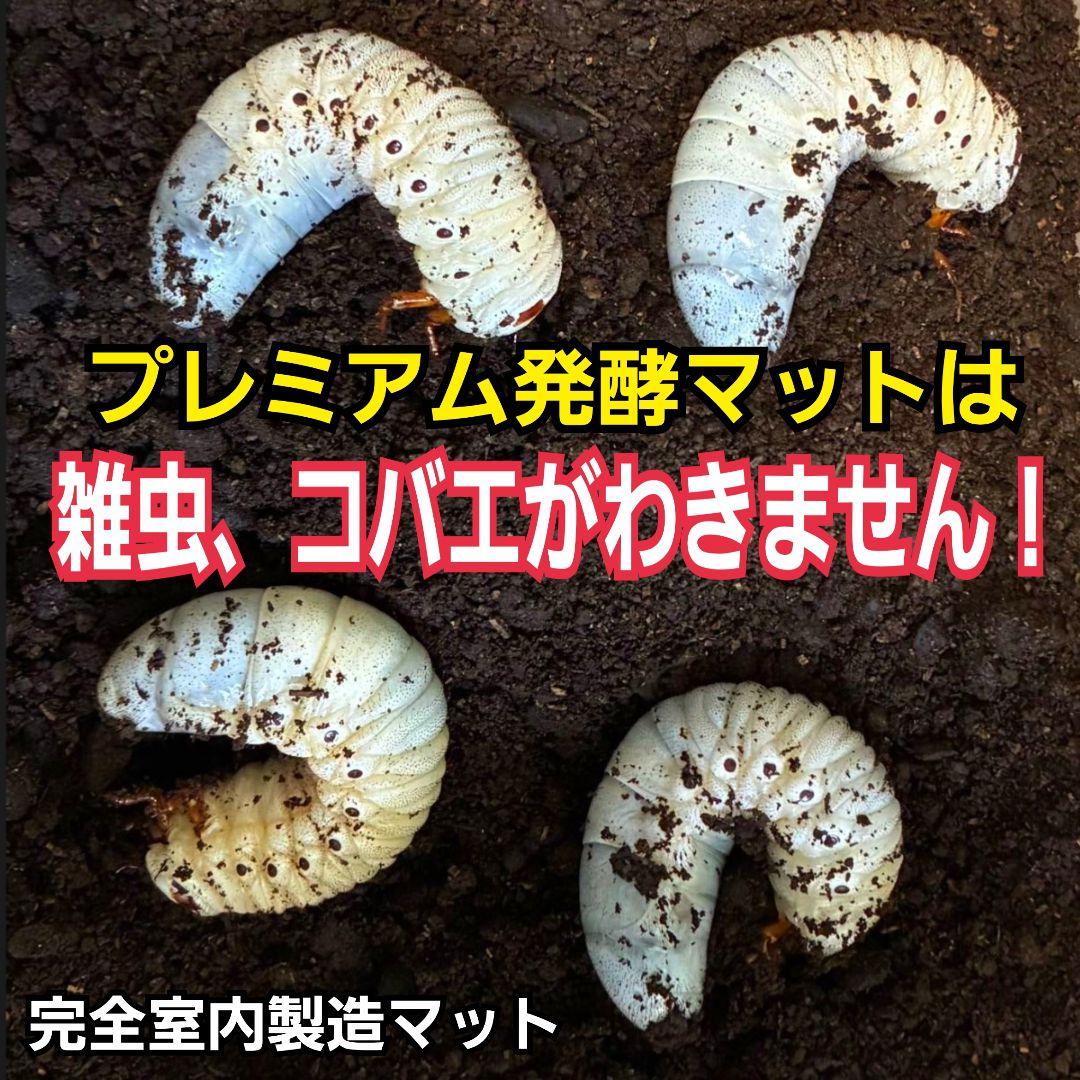カブトムシ幼虫が巨大化！プレミアム3次発酵マット【70リットル】産卵