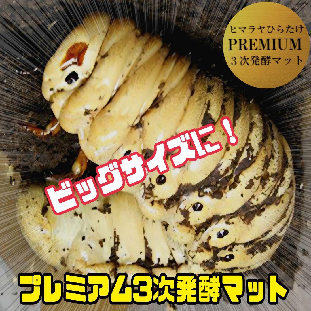 カブトムシ幼虫が巨大化！プレミアム3次発酵マット【70リットル】産卵