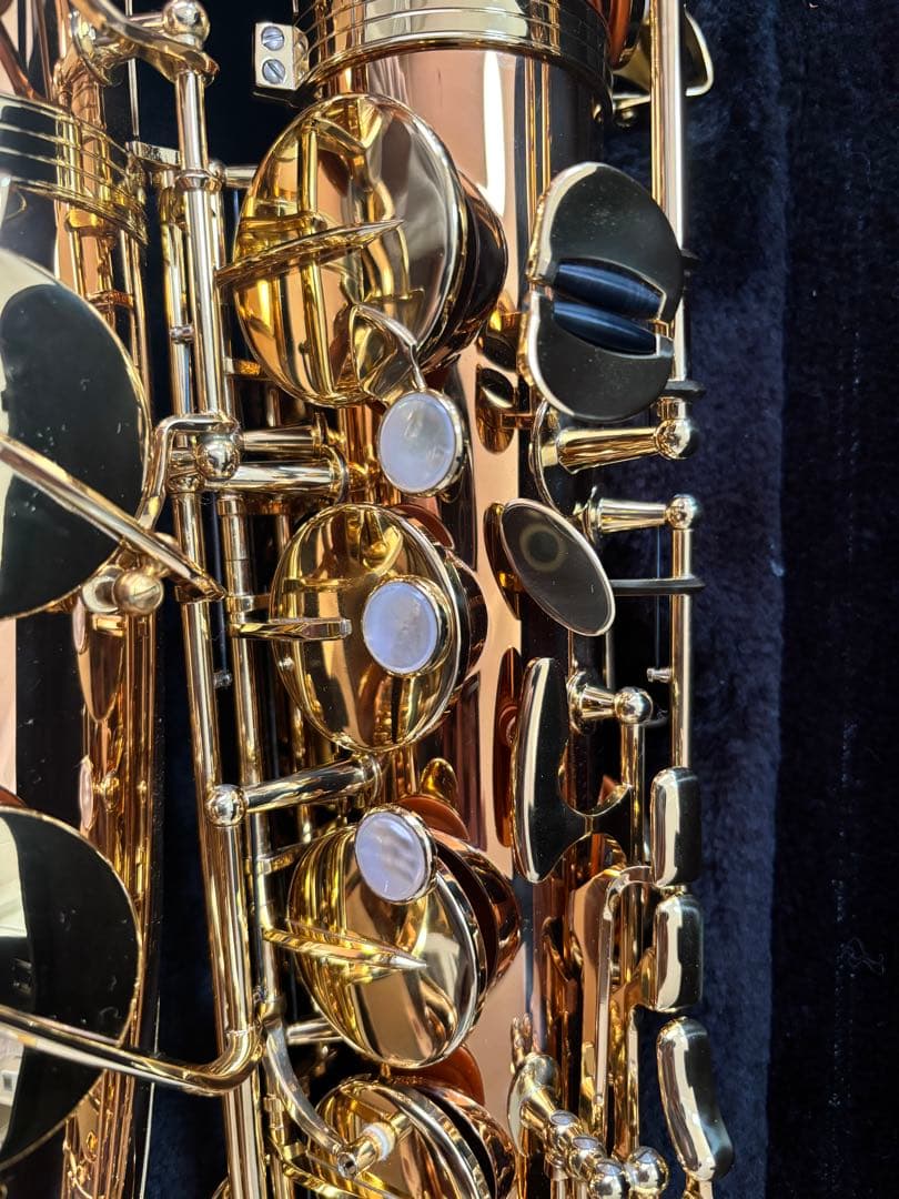 ヤナギサワ　テナーサックス　T-WO02 Tenor Saxphone