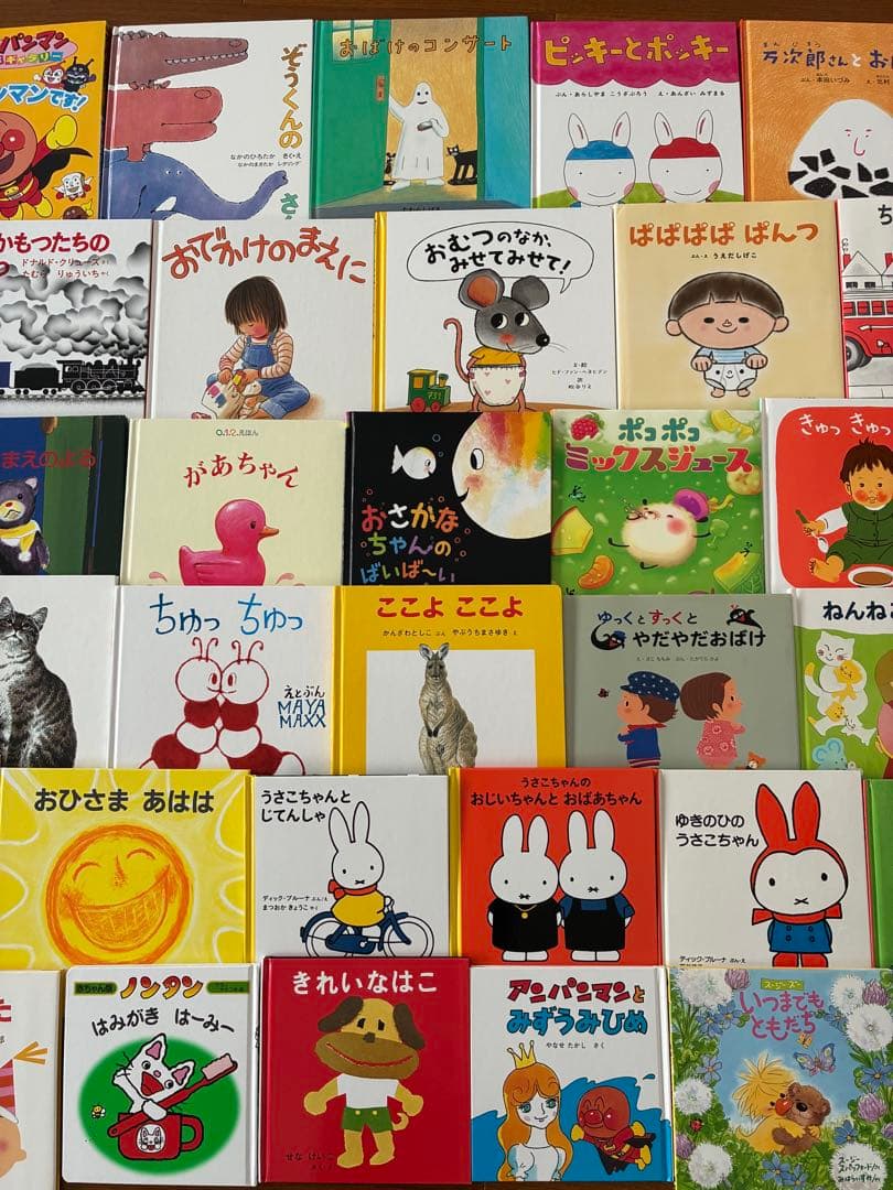 非売品】バナナTV バナナマンのスカイダイビング特典DVD 非売品