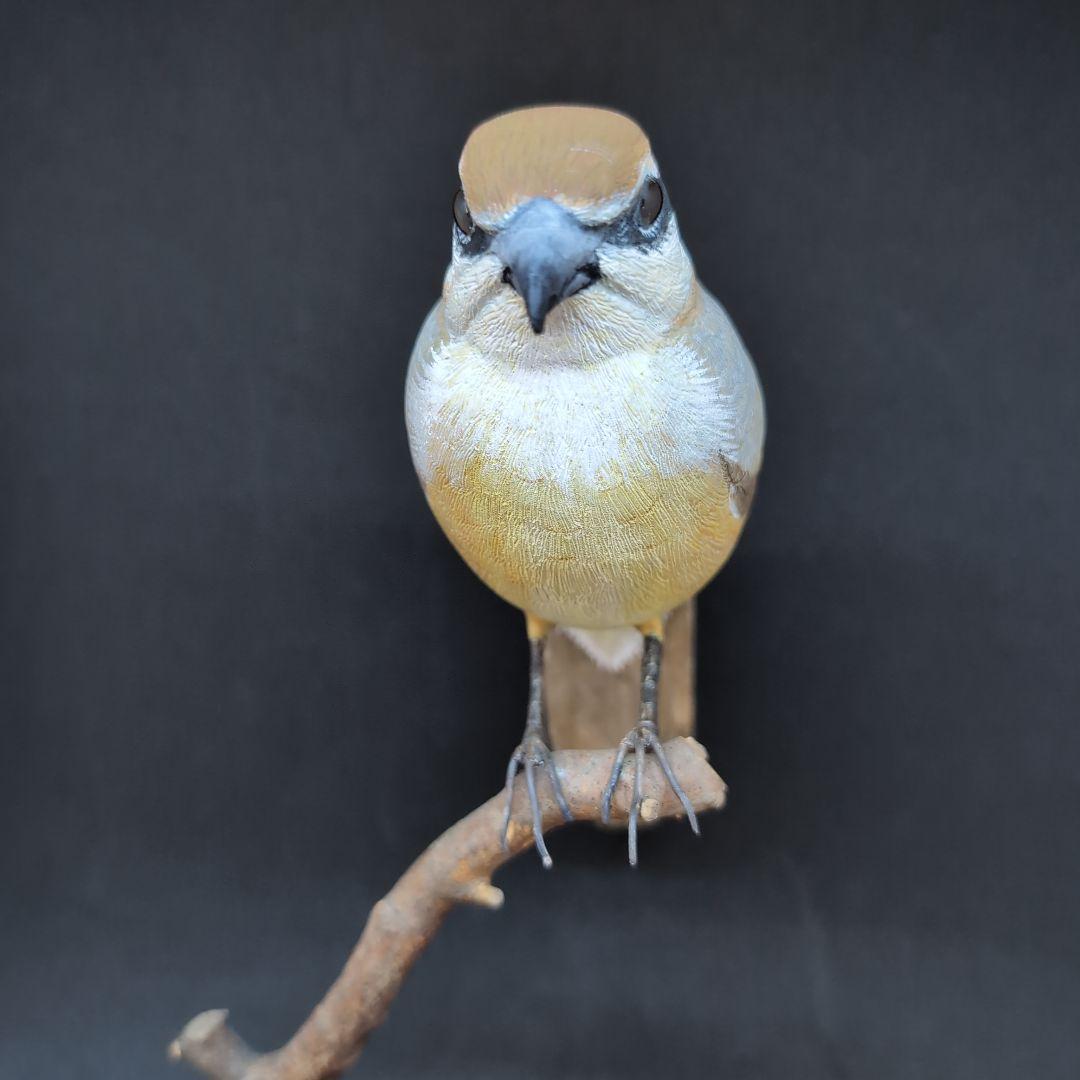 リアルな木製の野鳥 「モズ」 木彫りの野鳥 バードカービング 野鳥彫刻