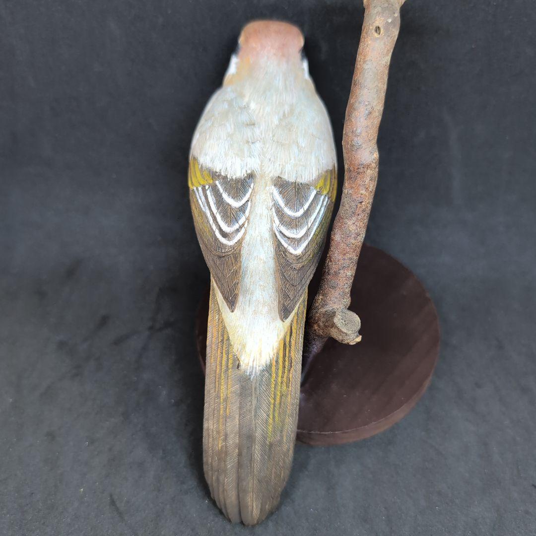 リアルな木製の野鳥 「モズ」 木彫りの野鳥 バードカービング 野鳥彫刻
