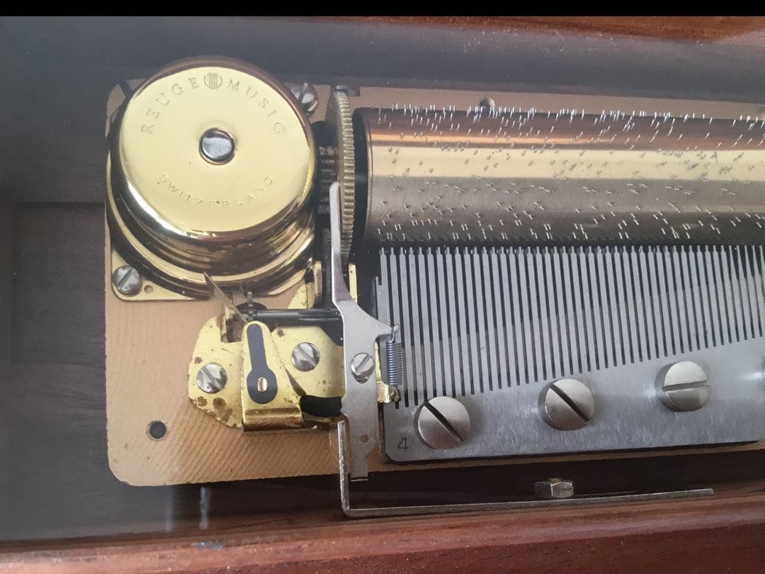 リュージュ　50弁　雨のち晴れ（アフター・ザ・レイン・サンシャイン）他3曲