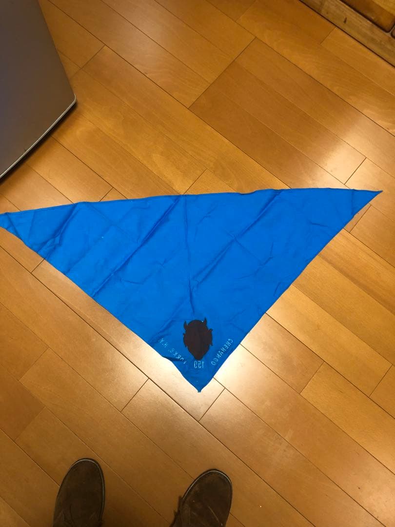 ビンテージ50s デビル 悪魔 ミッドセンチュリー ボーイスカウト レトロ