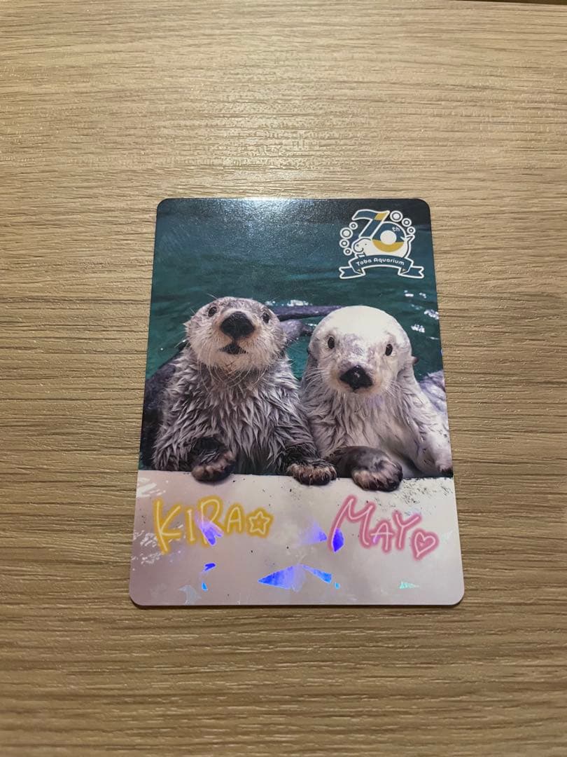 鳥羽水族館 70周年 コレクションカード　レア　キラメイ　通常　キラ　セット