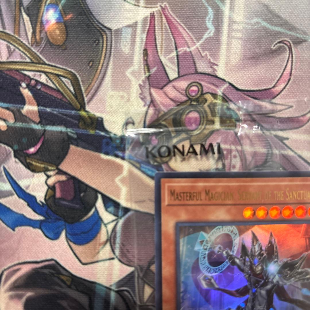 日本選手権 2024 2期 優勝プロモ