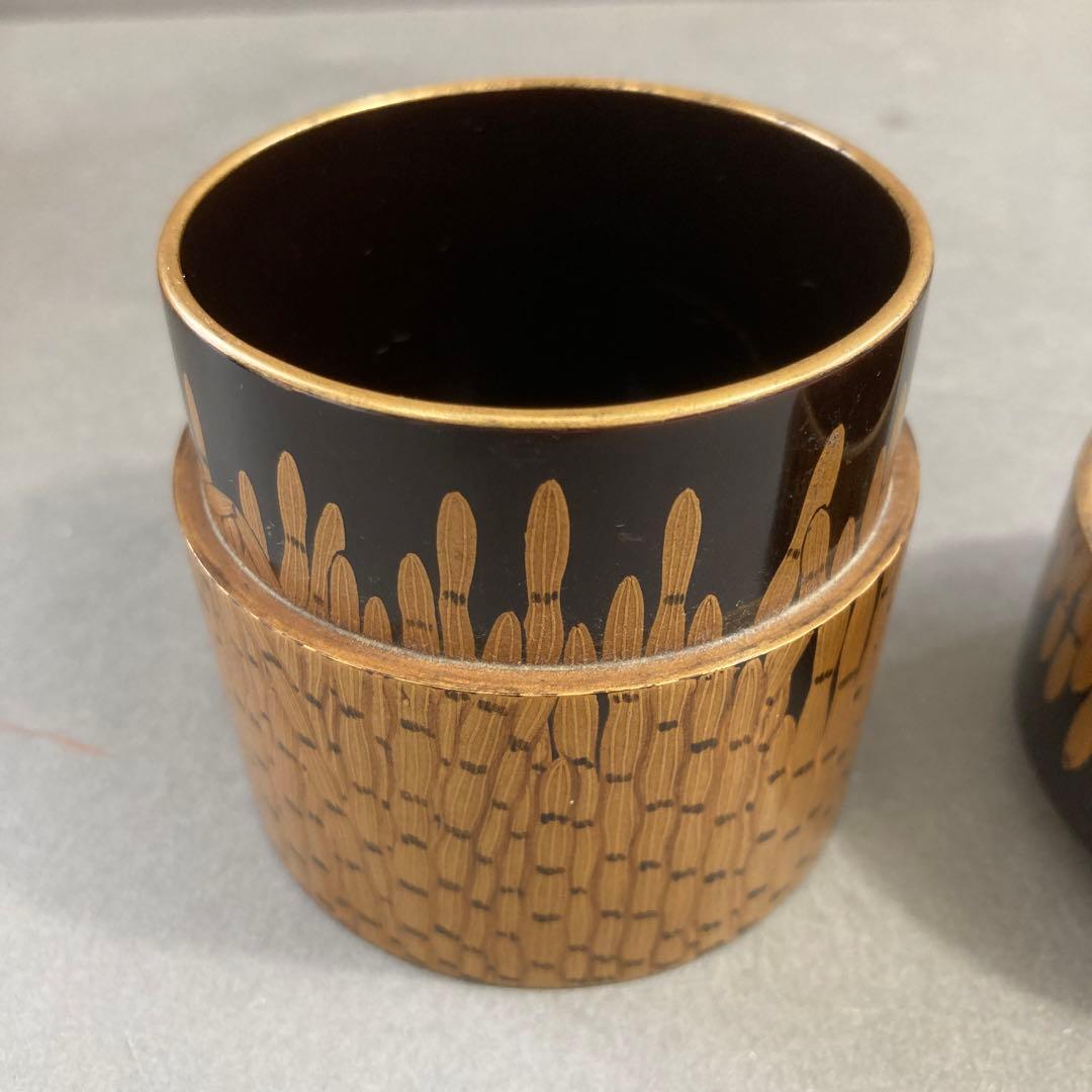 茶道具 ￼棗 楽只斎好 木賊面中次 葆光斎書付 共箱